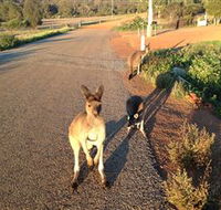 Bindoons Windmill Farm - Accommodation QLD