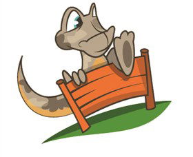 Dare Adventures - Accommodation QLD 0
