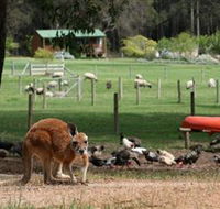 Diamond Forest Cottages and Farm Stay - Accommodation QLD