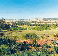 Pecan Hill Bed and Breakfast - Accommodation QLD
