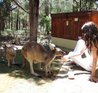 Yelverton Brook Eco Spa Retreat and Conservation Sanctuary - Accommodation QLD