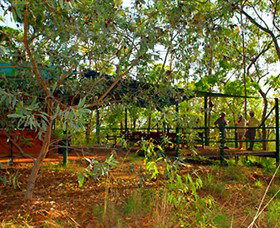 Arnhemland Barramundi Nature Lodge - Accommodation QLD 0