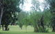 Mary River Wilderness Retreat And Caravan Park - thumb 3