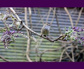 MossGrove Bed And Breakfast - Accommodation QLD 2