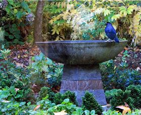 MossGrove Bed And Breakfast - Accommodation QLD 4