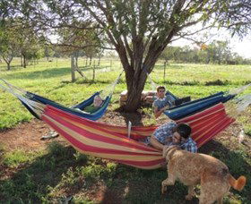 Childers Eco-lodge - Accommodation QLD 1