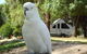 Glamping In The Grampians - Halls Gap Lakeside Tourist Park - thumb 2