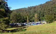 Ferndale Caravan Park - Accommodation QLD 1