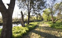 Fossickers Tourist Park - Accommodation QLD 5