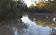 Four Mile Camping Reserve - thumb 0