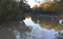 Four Mile Camping Reserve - Accommodation QLD 0
