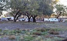 Four Mile Camping Reserve - Accommodation QLD 1