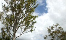 Glen Villa Resort And Tourist Park Casino - Accommodation QLD 0