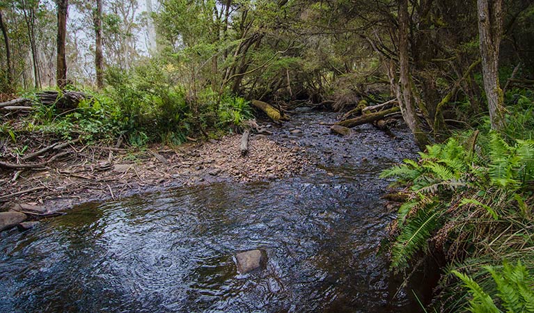 Moonan Brook NSW Accommodation QLD