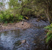 Horse Swamp campground - Accommodation QLD