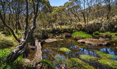 Junction Pools Campground - Accommodation QLD 0