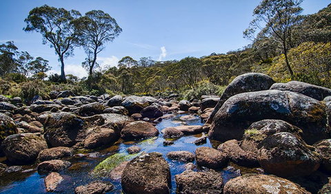 Junction Pools Campground - Accommodation QLD 2