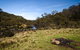 Junction Pools Campground - thumb 1