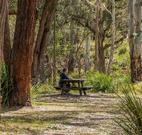 Koreelah Creek campground - Accommodation QLD