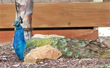 Lake Hume Tourist Park - Accommodation QLD 1