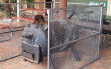 Lightning Ridge Outback Resort And Caravan Park - Accommodation QLD 7