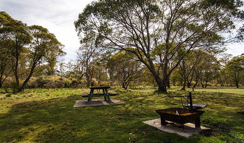 Little Murray Campground - Accommodation QLD 0