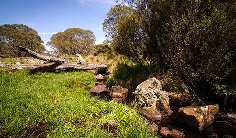 Little Murray Campground - Accommodation QLD 1