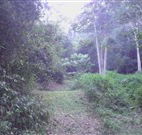 Macas Camping Ground - Accommodation QLD