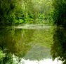Mangrove Yoga Ashram - Accommodation QLD