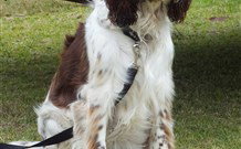 Merimbula Lake Holiday Park - Accommodation QLD 0