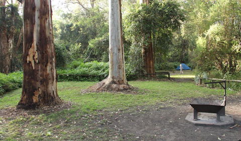 Mill Creek Campground - Accommodation QLD 2