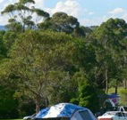 Milton Valley Holiday Park - Accommodation QLD