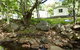 Mt Warning Rainforest Park - thumb 0