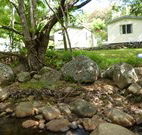 Mt Warning Rainforest Park - Accommodation QLD