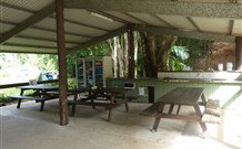 Mt Warning Rainforest Park - Accommodation QLD 4
