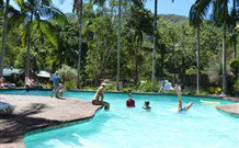 Mt Warning Rainforest Park - Accommodation QLD 2