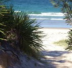 Myola Tourist Resort Caravan Park - Accommodation QLD