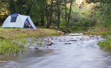 Nymboida NSW Accommodation QLD