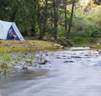 Nymboida Canoe Centre - Accommodation QLD
