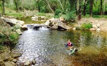 Nymboida Canoe Centre - Accommodation QLD 2