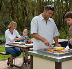 Port Stephens Treescape - Accommodation QLD