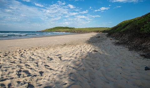 Racecourse Campground - Accommodation QLD 2