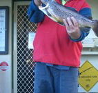 Rainbow Pines Tourist Caravan Park - Accommodation QLD