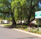 Spicer Park Caravan Park - Accommodation QLD