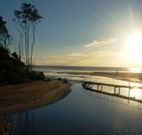 Spot X Surf - Accommodation QLD
