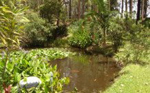 Tallowood Ridge B And B - Accommodation QLD 0