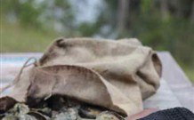 The Escape Luxury Camping - Accommodation QLD 3