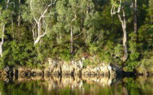 The Escape Luxury Camping - Accommodation QLD 5