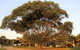 The Ruins Campground And Picnic Area - thumb 1