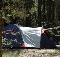 Thungutti campground - Accommodation QLD